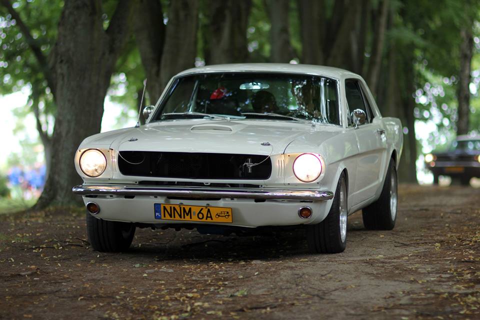 Mustang do Ślubu Olsztyn