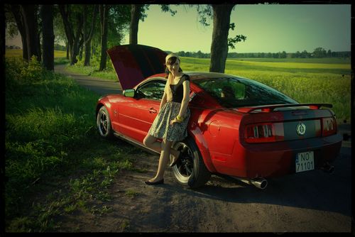 Video-zaproszenie z Mustangiem, fot. MDS