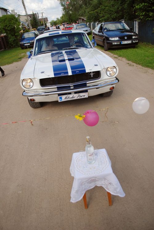 Mustang do ślubu, brama do przepłynięcia (fot. MDS)